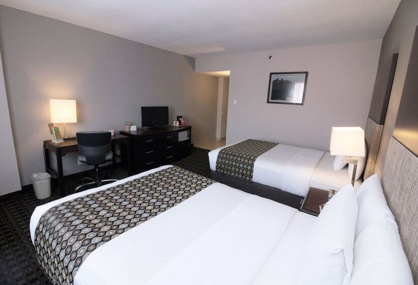 장애인을 위한 스탠다드 룸, Chn Hotel Monterrey Norte, Trademark Collection By Wyndham