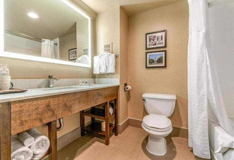 Люкс Кровать Кинг, Comfort Suites Downtown Sacramento