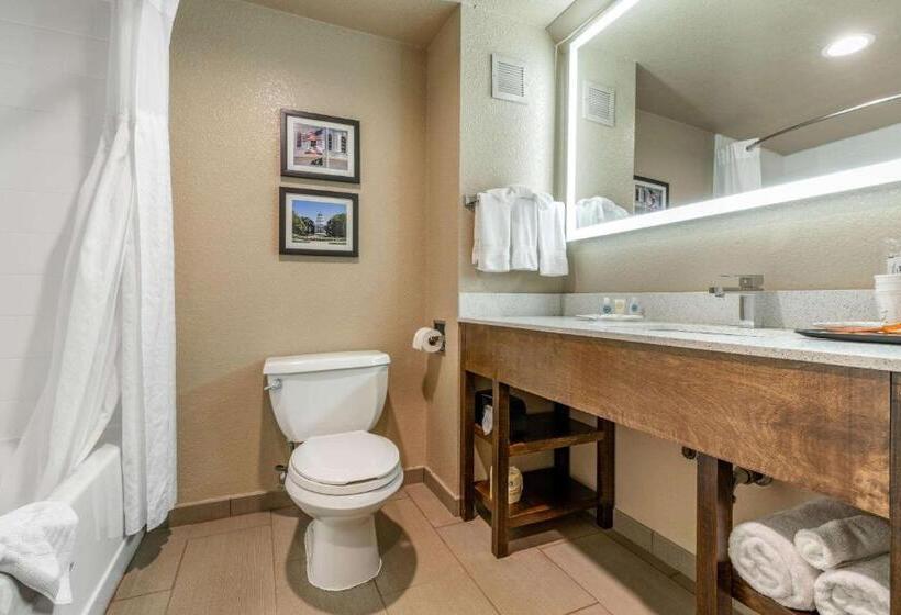 Люкс Кровать Кинг, Comfort Suites Downtown Sacramento