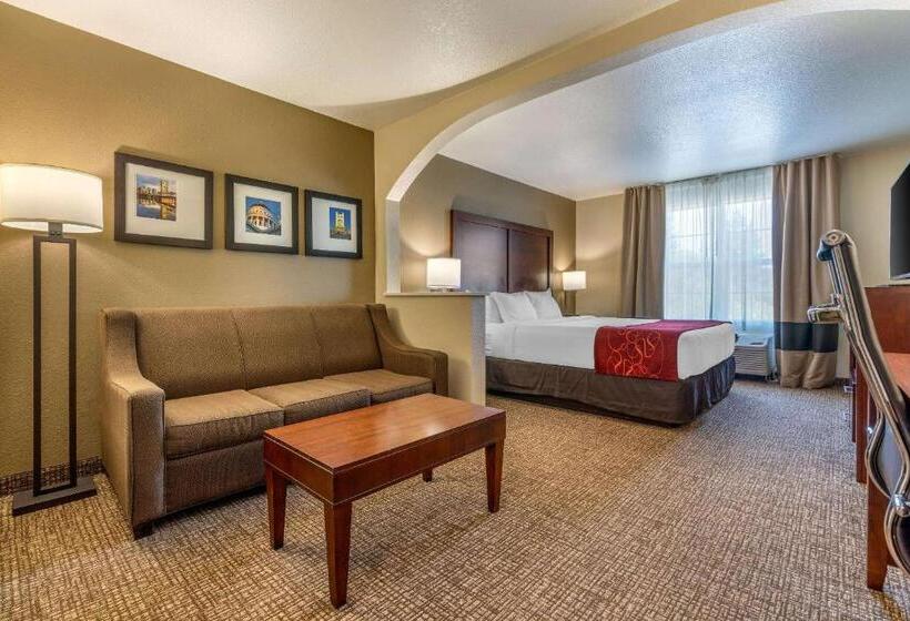 Люкс Кровать Кинг, Comfort Suites Downtown Sacramento