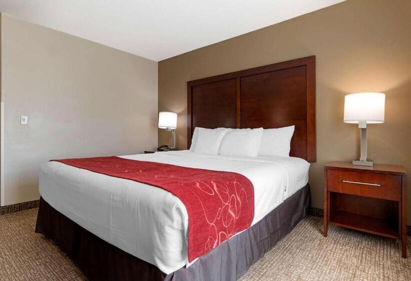 Стандартный Номер Кровать Кинг, Comfort Suites Downtown Sacramento