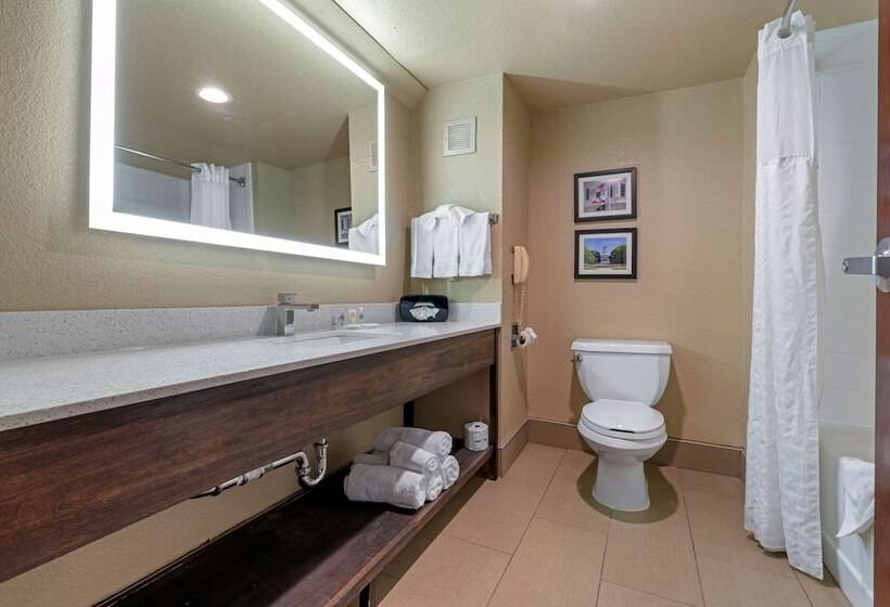 Люкс, Comfort Suites Downtown Sacramento