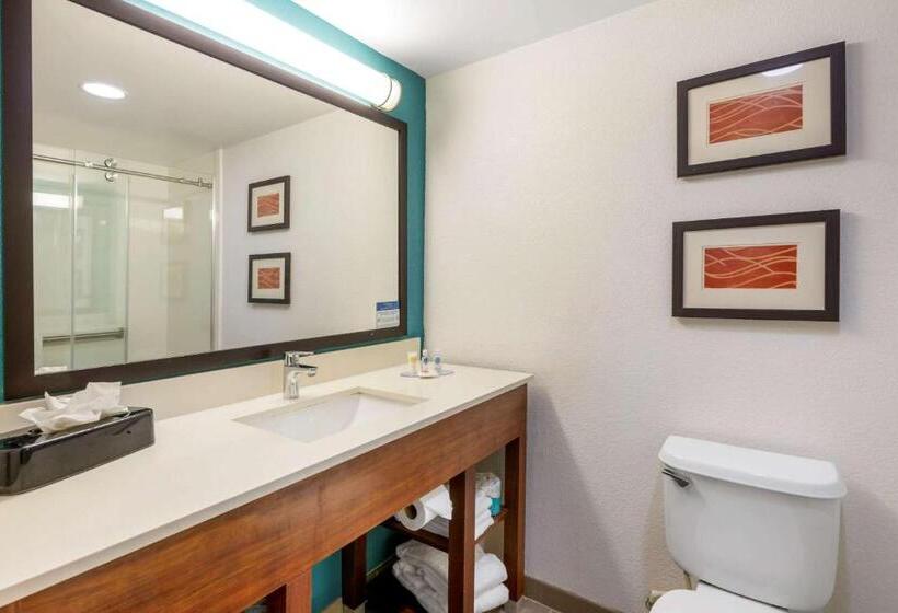 スタンダードルーム, Comfort Inn & Suites Fort Lauderdale West Turnpike
