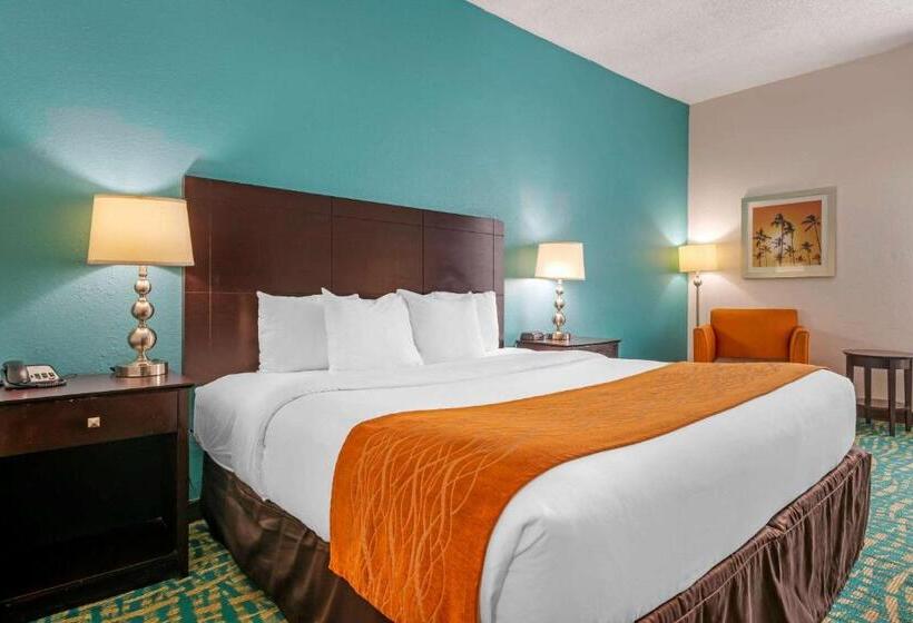 身障者適用スタンダードルーム, Comfort Inn & Suites Fort Lauderdale West Turnpike