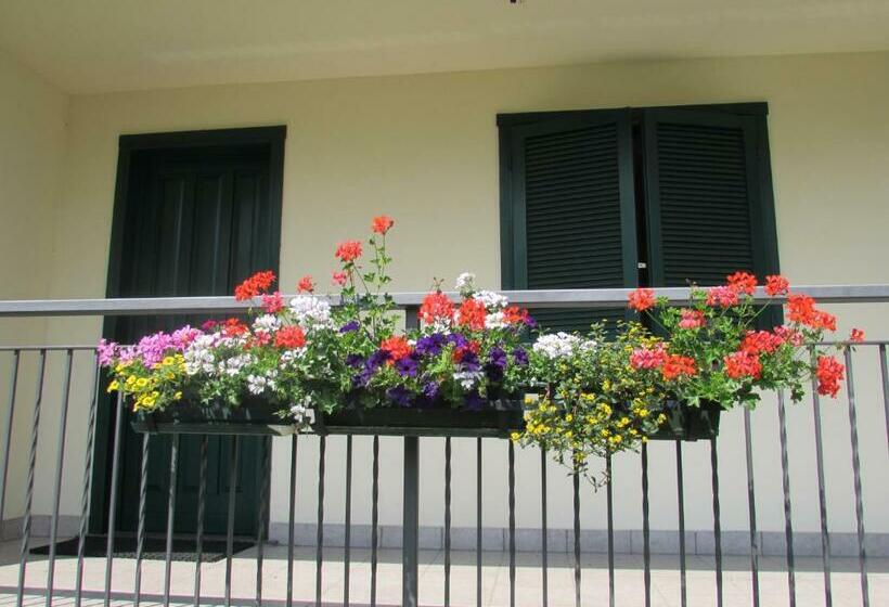 Номер Стандарт, B&b Carunei