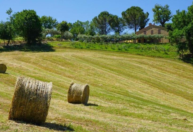 Апартаменты 2 Спальни, Agriturismo Pascucci
