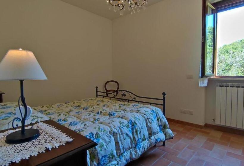 Апартаменты 1 Спальня Нижний Этаж, Agriturismo Pascucci