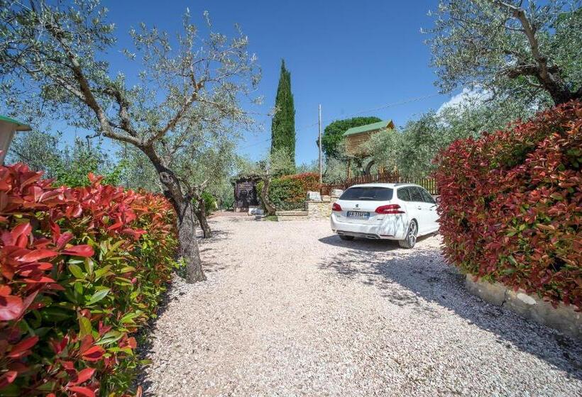 스탠다드 룸, L Agrifoglio Di Assisi Residenza Di Campagna