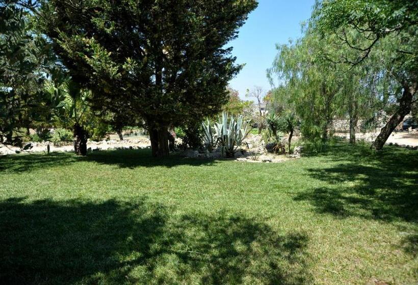 Апартаменты 2 Спальни, Vacanze Al Minci