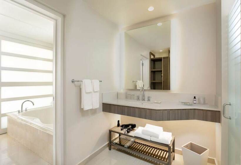 ویلای دلوکس 1 خوابه با چشم‌انداز دریا, Hyatt Regency Grand Reserve Puerto Rico