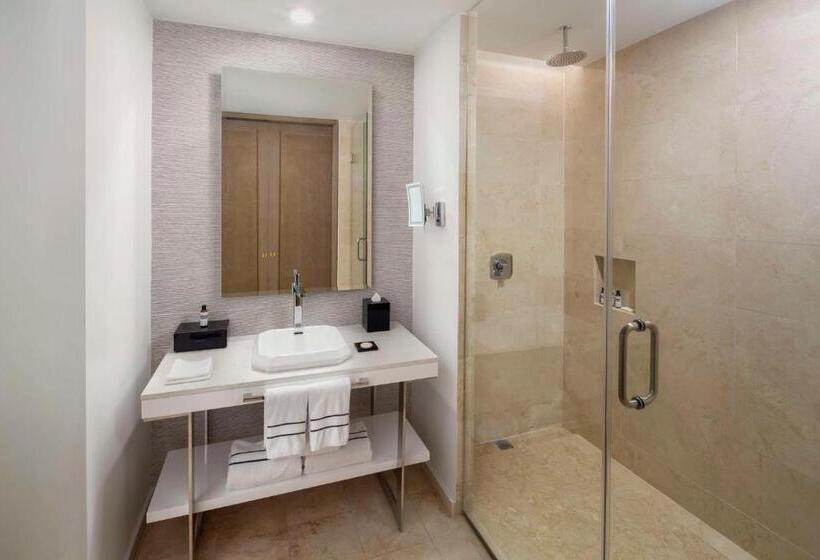 اتاق استاندارد با تخت بزرگ, Hyatt Regency Grand Reserve Puerto Rico