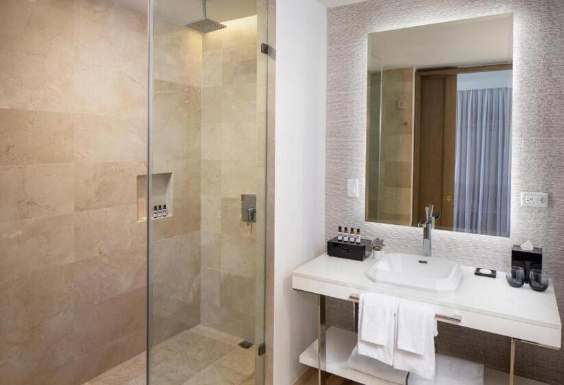 اتاق پریمیوم با چشم‌انداز باغ, Hyatt Regency Grand Reserve Puerto Rico