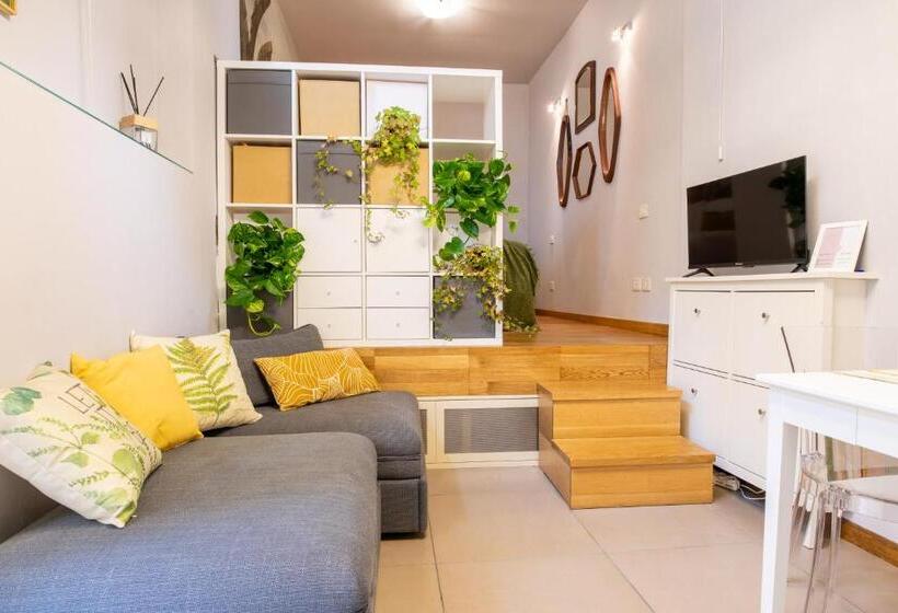 استودیوی لوکس, Il Cortile Di Elisa & Our Flats