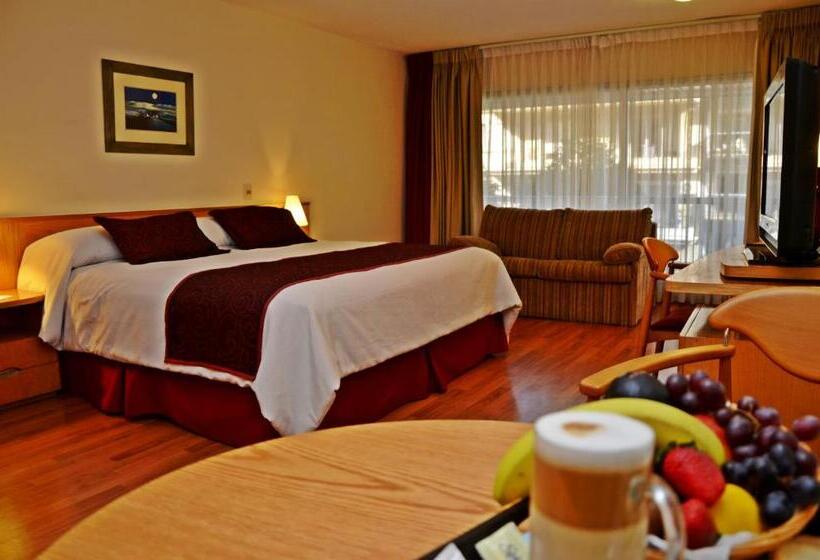수피리어 스위트, Armon Suites