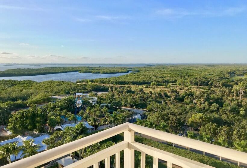 ２ダブルベッドのスタンダードルーム, Hyatt Regency Coconut Point Resort & Spa Near Naples