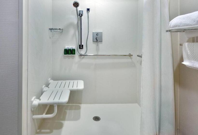 스탠다드 룸 킹사이즈 침대, Fairfield Inn & Suites Charlotte Monroe
