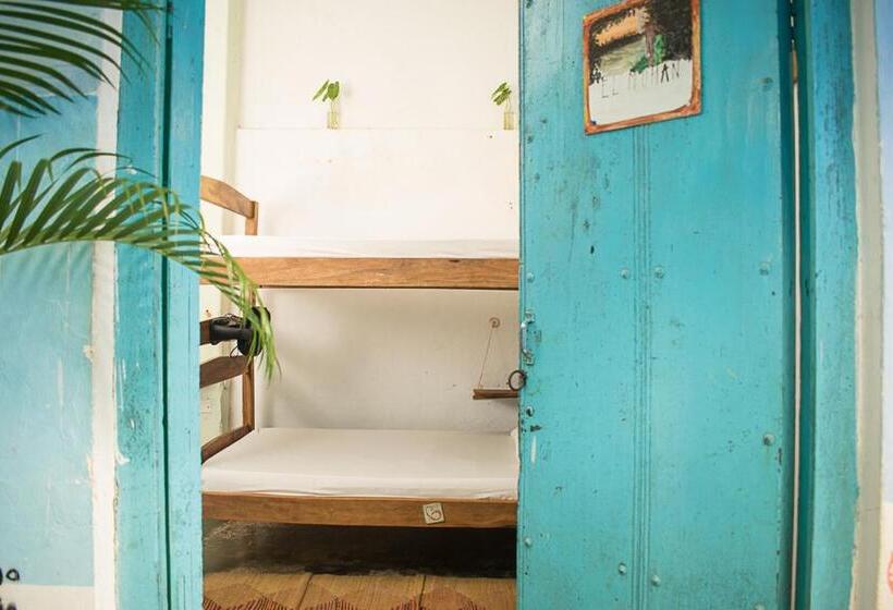 Кровать в Общей Комнате, Hostel Pueblito Magico
