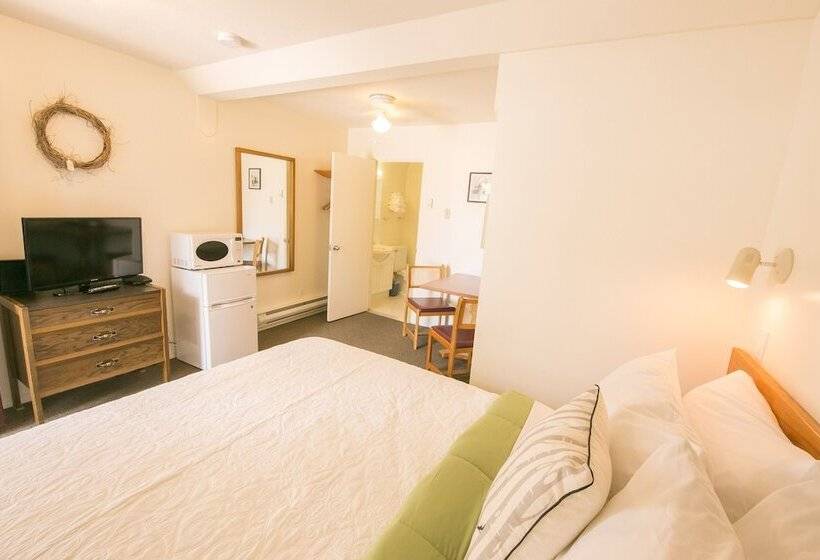 이코노미 룸, Mountain Springs Motel