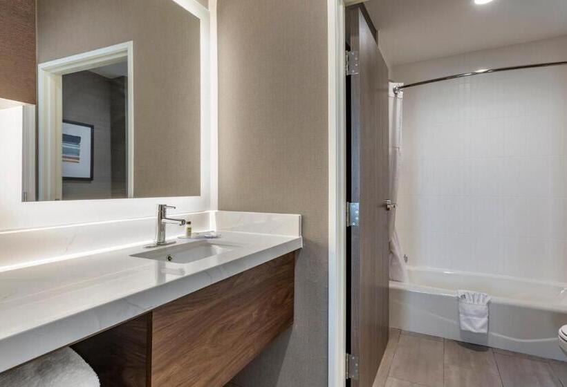Люкс, Staybridge Suites Grand Prairie Near Epic Central, An Ihg