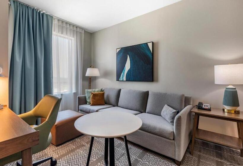 Номер Стандарт Кровать Кинг Адаптированный для Инвалидов, Staybridge Suites Grand Prairie Near Epic Central, An Ihg