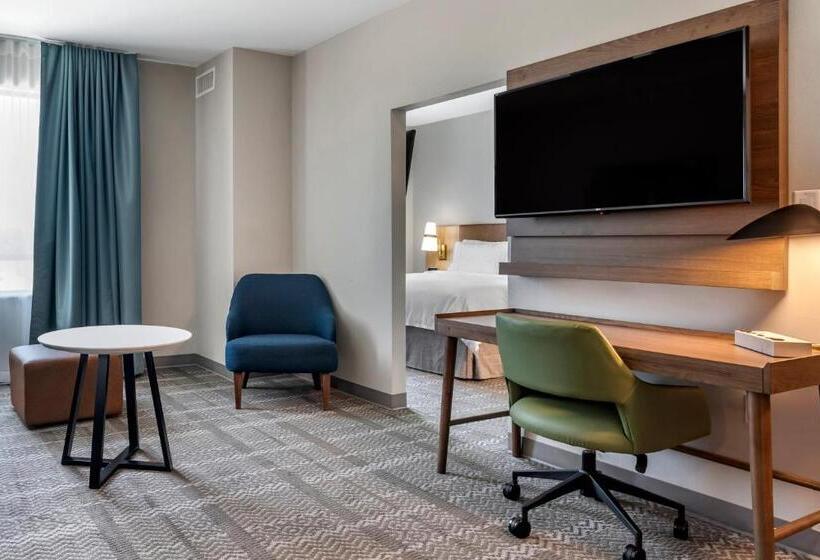 Номер Стандарт Кровать Кинг Адаптированный для Инвалидов, Staybridge Suites Grand Prairie Near Epic Central, An Ihg