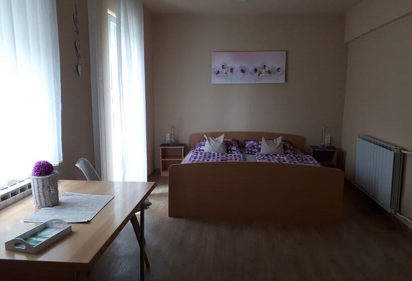 اتاق استاندارد, Guest House Tara