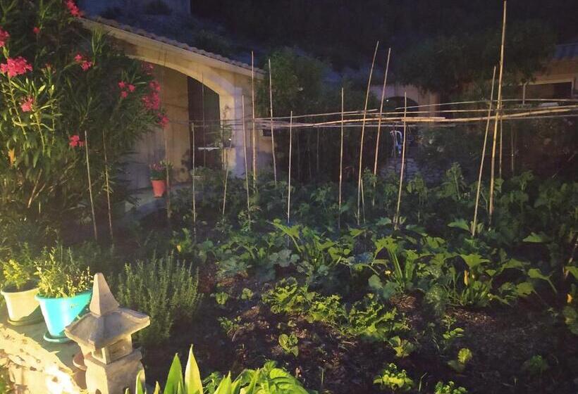 Номер Стандарт Вид на Сад, Le Frangipanier