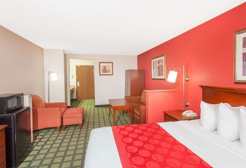 Номер Deluxe, Ramada Limited Decatur