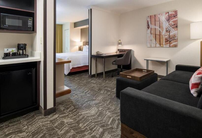 Студио Стандарт Кровать Кинг, Springhill Suites Portland Airport