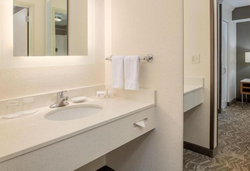 Студия Стандарт, Springhill Suites Portland Airport