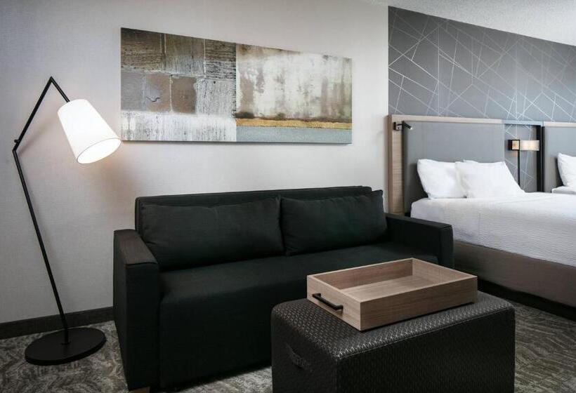 Люкс, Springhill Suites By Marriott Tulsa