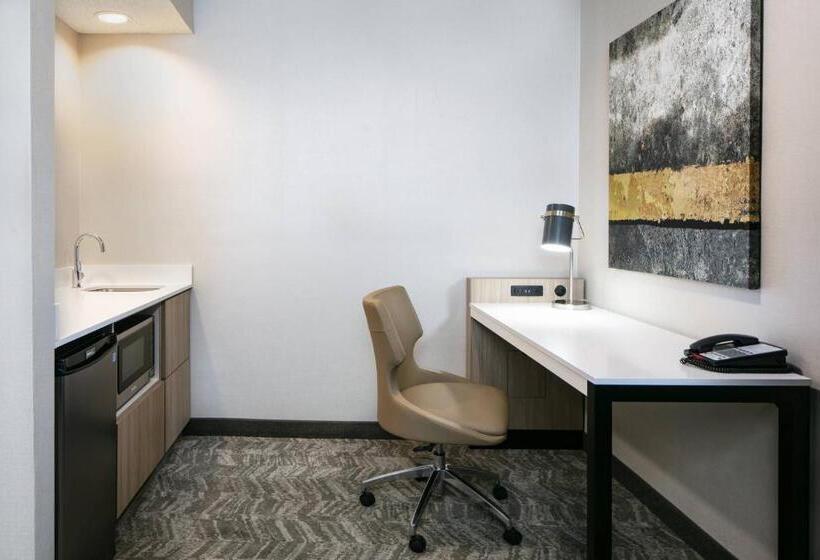 Люкс Кровать Кинг, Springhill Suites By Marriott Tulsa
