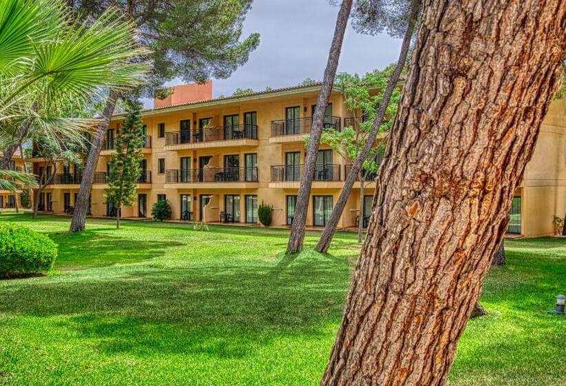 Студия Стандарт, Vell Mari Hotel & Resort
