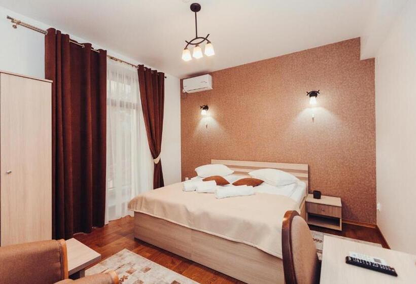 Номер Стандарт Вид на Горы, Pensiunea Casa Hortopan