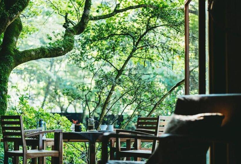 디럭스 스위트, Hakone Retreat Villa 1/f