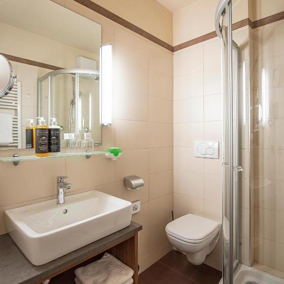 Номер Стандарт с Балконом, Vitalpina Hotel Waldhof