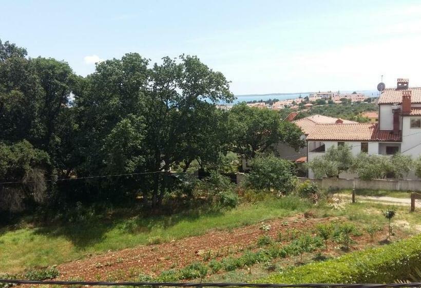 Номер Стандарт, Villa Betiga
