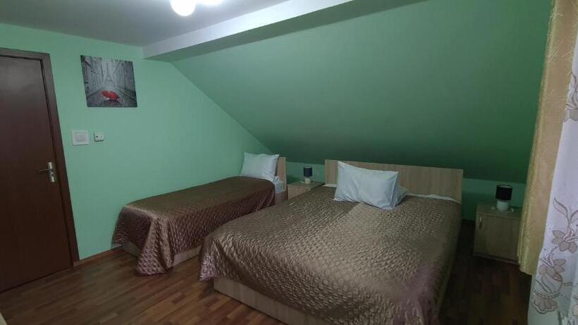 آپارتمان سوپریور 1 خوابه, Pensiunea Aurora  Hostel Voineasa