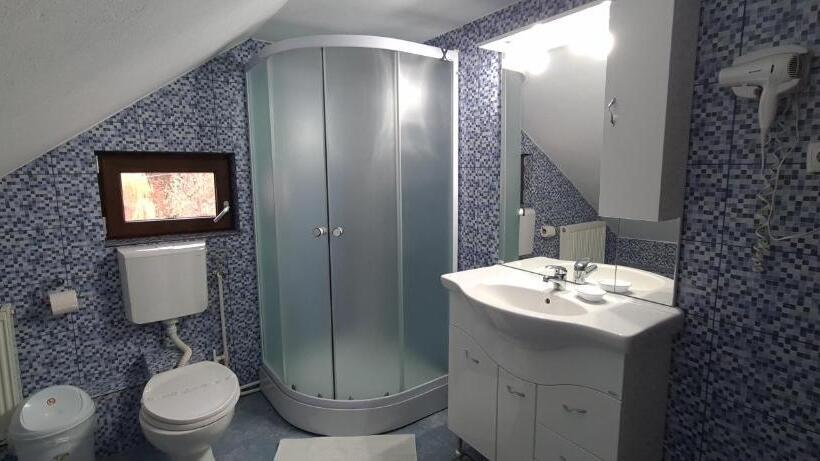 آپارتمان سوپریور 1 خوابه, Pensiunea Aurora  Hostel Voineasa