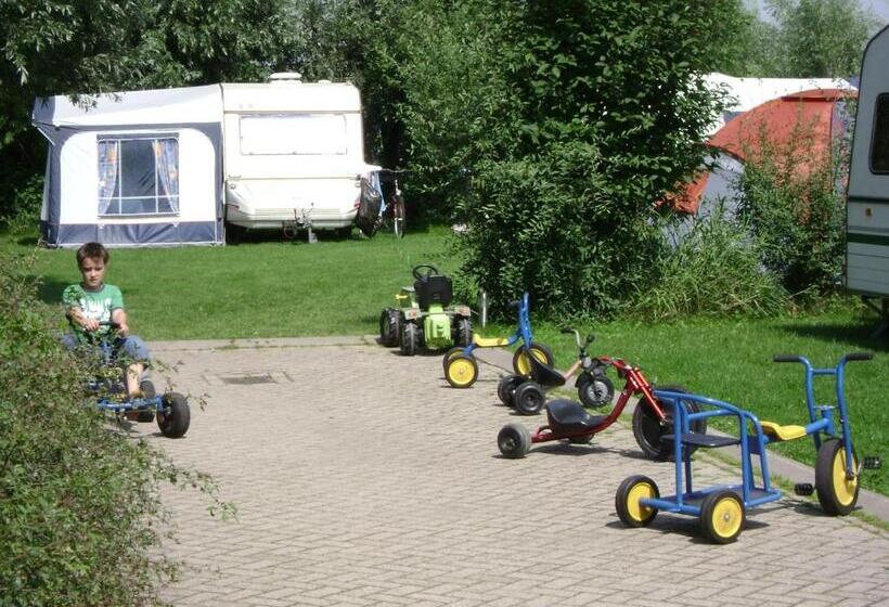 غرفة كومفورت, Boerderij Hazenveld