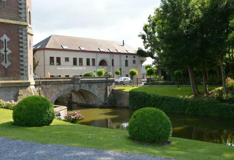 Номер Стандарт, Haras Des Chartreux