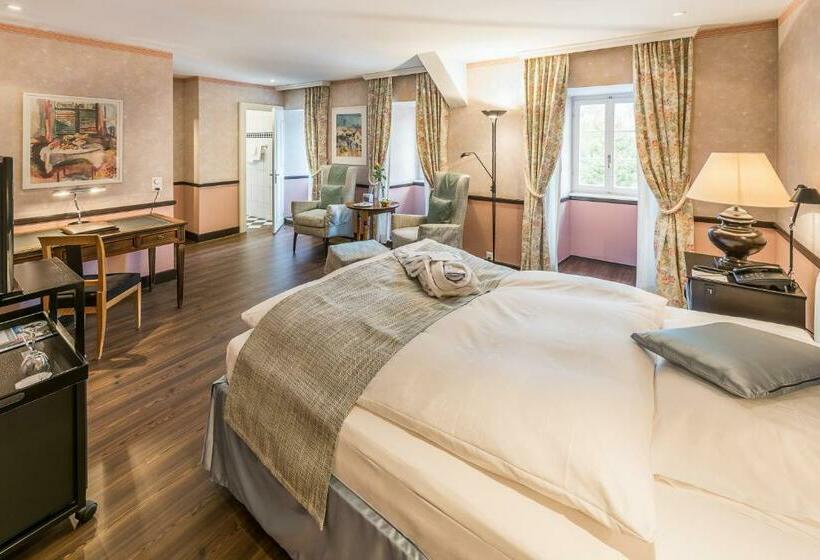 Номер Стандарт Индивидуальный, Kurhotel Im Park