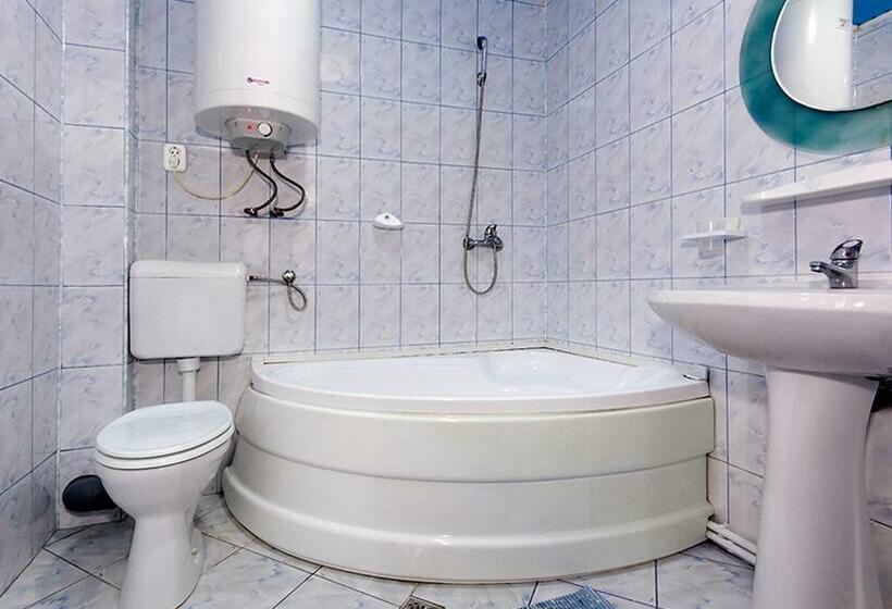 스탠다드 룸 킹사이즈 침대, Pensiunea Bobu