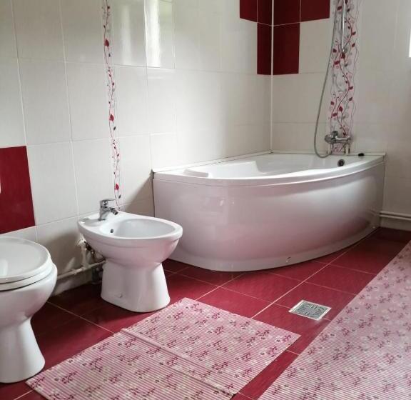 듀플렉스 스위트, Pensiunea Bobu