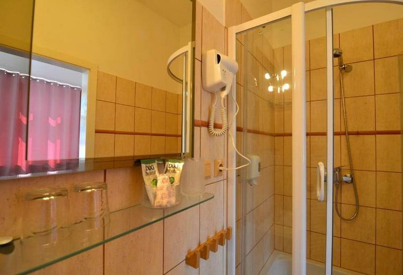 Номер Deluxe, Baronka Bed & Breakfast & Bistrot