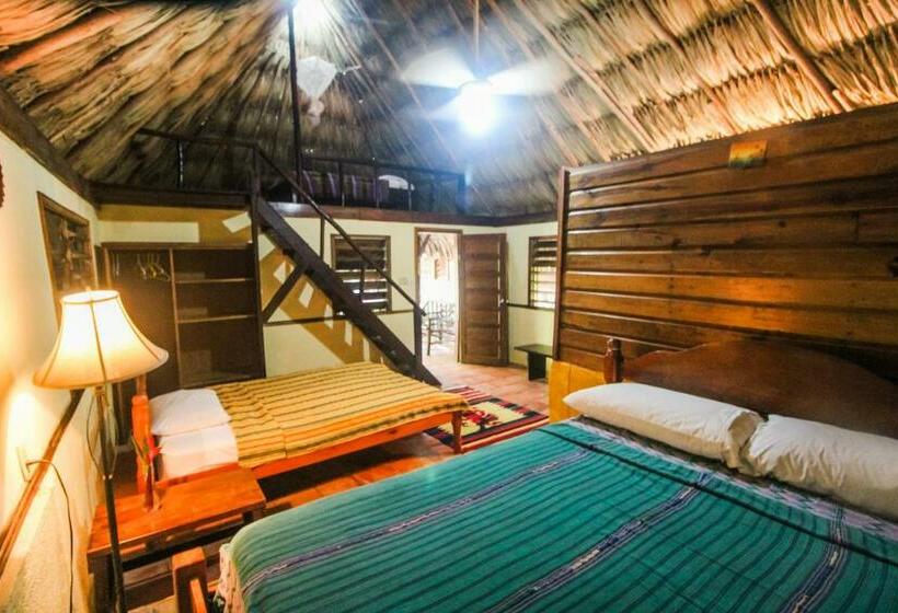 标准三人间, Cohune Palms River Cabanas