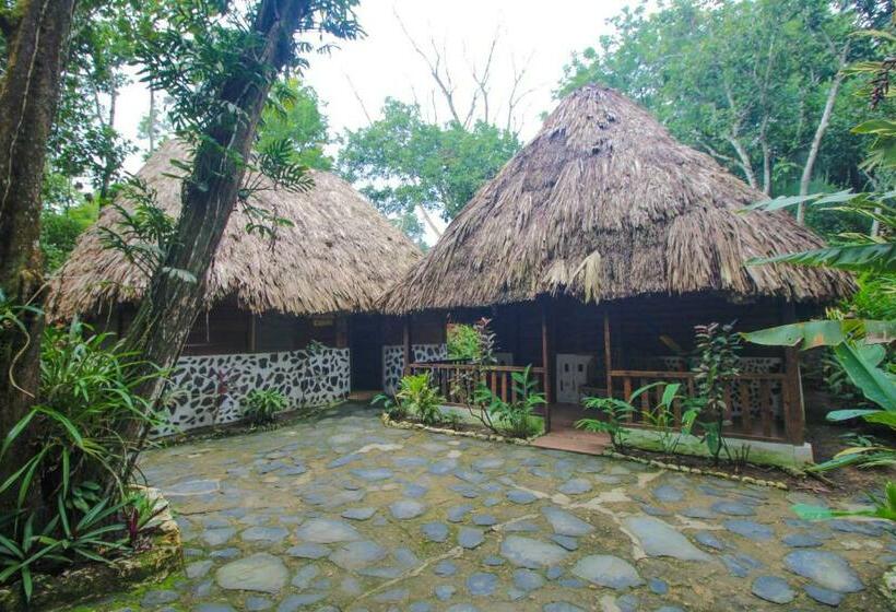 标准三人间, Cohune Palms River Cabanas