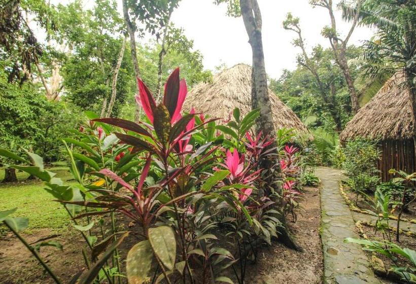 标准三人间, Cohune Palms River Cabanas