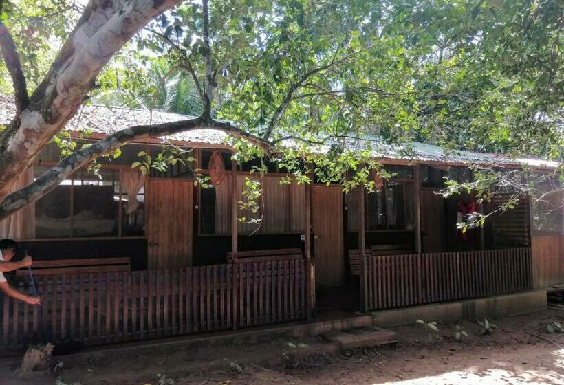 Номер Стандарт Индивидуальный, Don Jaime   Hostel
