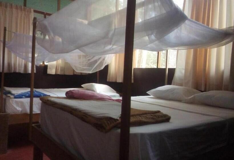 Номер Стандарт Трехместный, Don Jaime   Hostel